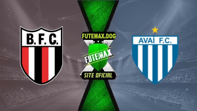 Assistir Botafogo SP x Avai AO VIVO Online Grátis em HD 06/07/2026